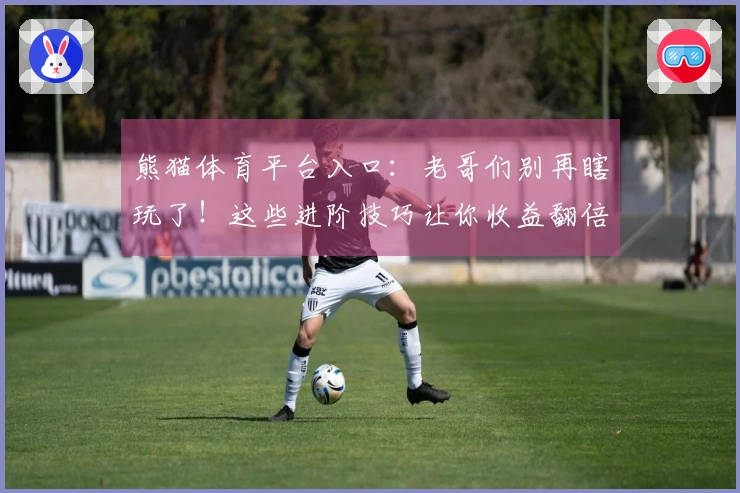 熊猫体育平台入口：老哥们别再瞎玩了！这些进阶技巧让你收益翻倍，亲测有效！