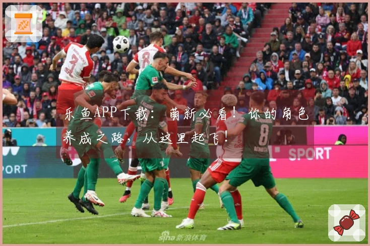 乐鱼APP下载：萌新必看！你的角色养成之路，从这里起飞！