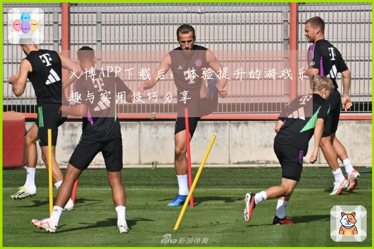 火博APP下载后，体验提升的游戏乐趣与实用技巧分享